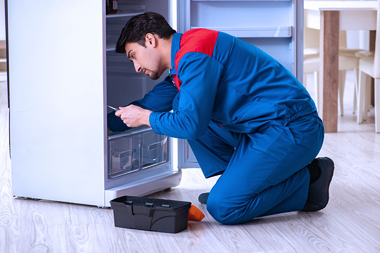 Refrigerator Repair Professional